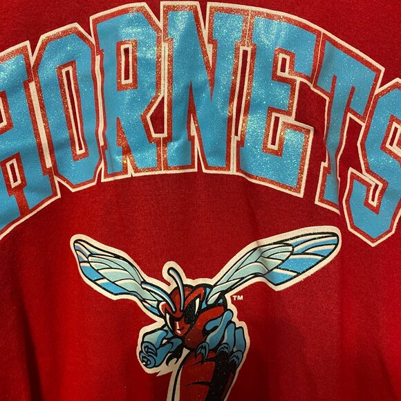 Delaware State University Hornets Big Boy Headgear Hoodie, XXXL 3XL - Picture 2 of 2